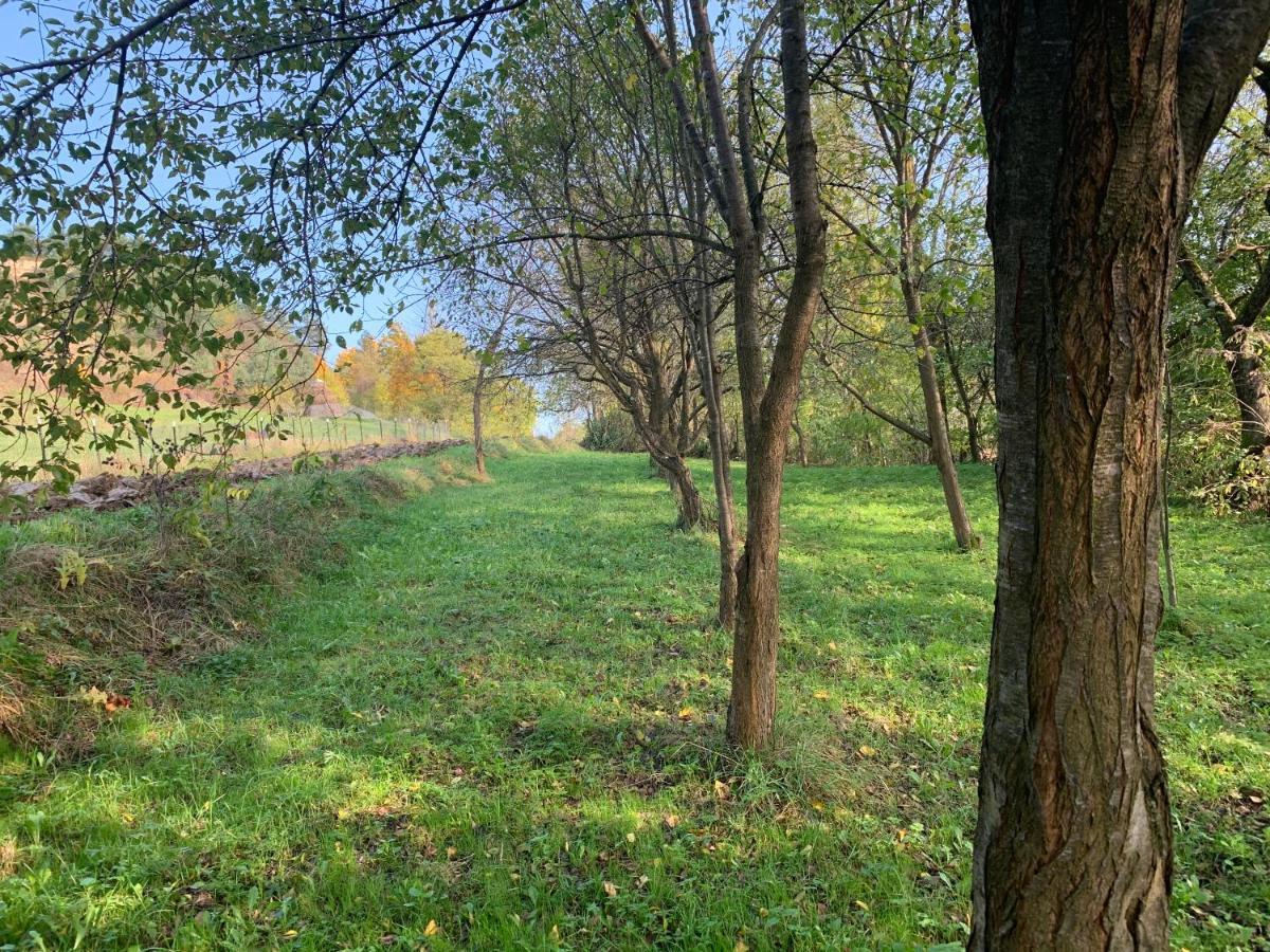 Conacul Maramuresean Bilgar Bogdan Vodă Exteriör bild